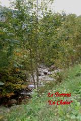 ECLAIREURS DE FRANCE MONT CHARVIN LE BOUCHET 1960  (8)